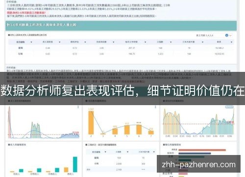 数据分析师复出表现评估，细节证明价值仍在